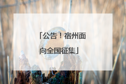 公告！宿州面向全国征集
